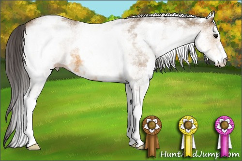 Horse Color: White Spotted Buckskin 