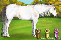 Horse Color:White Spotted Buckskin 