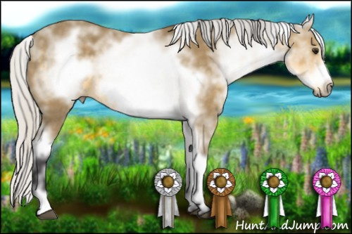 Horse Color: White Spotted Silver Buckskin Frame 