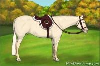 Horse Color:Gold Cream Champagne Dun