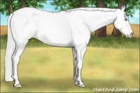 Horse Color:Silver Smoky Creme Dun 