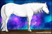 Horse Color:Silver Perlino Roan Dun