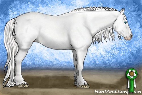 Horse Color: Cremello Dun 
