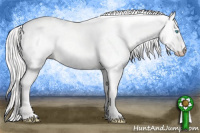 Horse Color:Cremello Dun 
