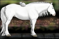 Horse Color:Cremello Dun 