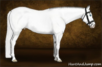 Horse Color:Cremello Dun 