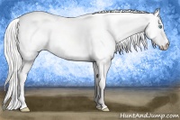 Horse Color:Silver Perlino Dun 
