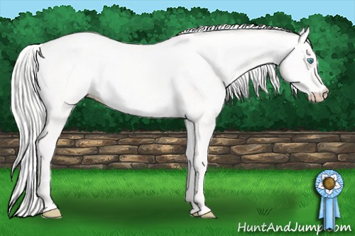 Horse Color: Silver Perlino Dun 