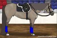 Horse Color:Smoky Grullo