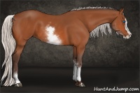 Horse Color:White Spotted Silver Bay Splash