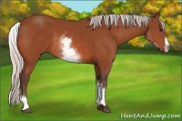 Horse Color:White Spotted Silver Bay Splash 