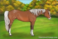 Horse Color:White Spotted Silver Bay Splash 