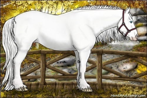 Horse Color: Silver Perlino Dun 