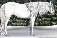 Horse Color:Silver Bay Dun Sabino Splash Blanket 