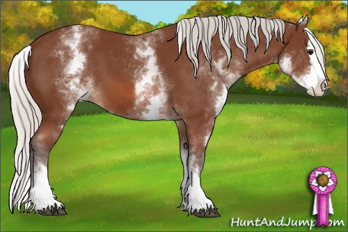 Horse Color: White Spotted Silver Bay Splash 