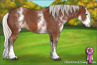 Horse Color:White Spotted Silver Bay Splash