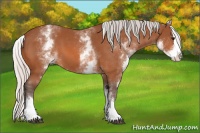 Horse Color:White Spotted Silver Bay Splash