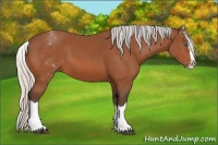 Horse Color:White Spotted Silver Bay Splash 