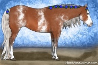 Horse Color:White Spotted Silver Bay Splash 