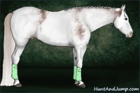 Horse Color:White Spotted Silver Bay Splash 