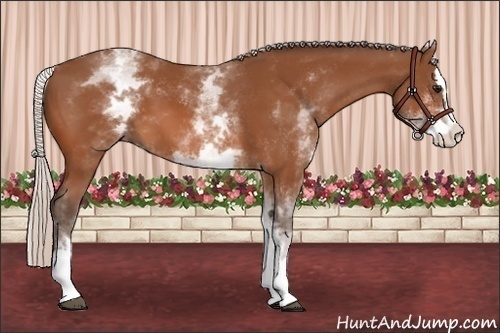 Horse Color: White Spotted Silver Bay Splash 