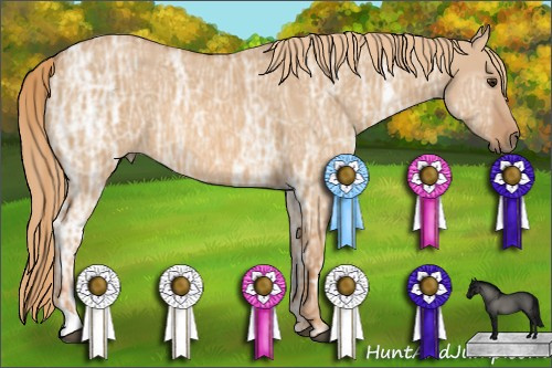 Horse Color: Unknown 