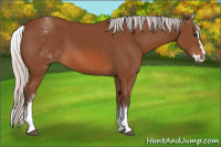 Horse Color:White Spotted Silver Bay Splash 
