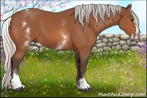 Horse Color: White Spotted Silver Bay Splash 