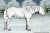 Horse Color:Silver Perlino Dun