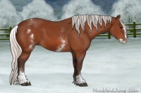 Horse Color:White Spotted Silver Bay Splash