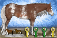 Horse Color:White Spotted Silver Bay Splash 