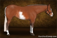 Horse Color:White Spotted Silver Bay Splash 