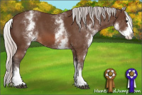 Horse Color:White Spotted Silver Brown Splash 