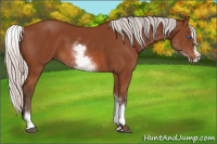 Horse Color:White Spotted Silver Bay Splash 