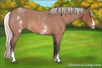 Horse Color:White Spotted Silver Bay Roan Splash 