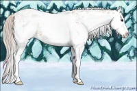 Horse Color:White Spotted Silver Bay Splash 