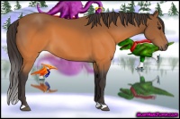 Horse Color:Buckskin 