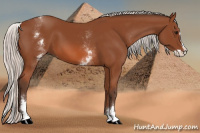 Horse Color:White Spotted Silver Bay Splash 