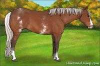 Horse Color:White Spotted Silver Bay Splash 