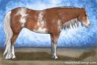 Horse Color:White Spotted Silver Bay Splash 