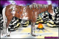 Horse Color:White Spotted Silver Brown Splash 