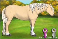 Horse Color:Palomino Tobiano 