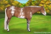 Horse Color:White Spotted Silver Bay Splash 