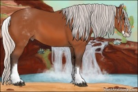 Horse Color:White Spotted Silver Bay Splash 