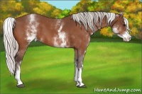 Horse Color:White Spotted Silver Brown Splash 