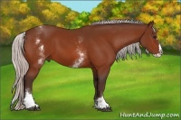 Horse Color:White Spotted Silver Bay Splash