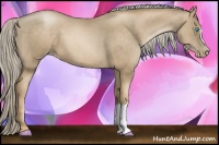 Horse Color:Chocolate Palomino Pearl 