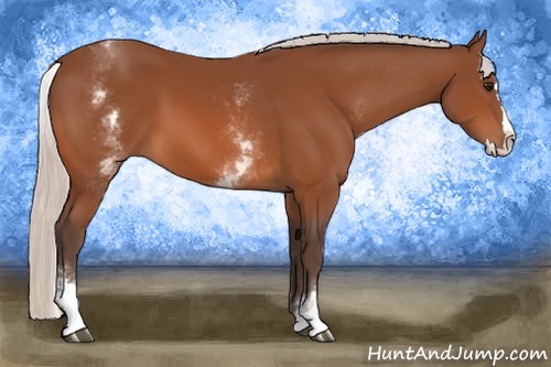Horse Color: White Spotted Silver Bay Splash 