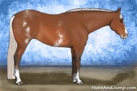 Horse Color:White Spotted Silver Bay Splash 