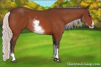 Horse Color:White Spotted Silver Bay Splash 